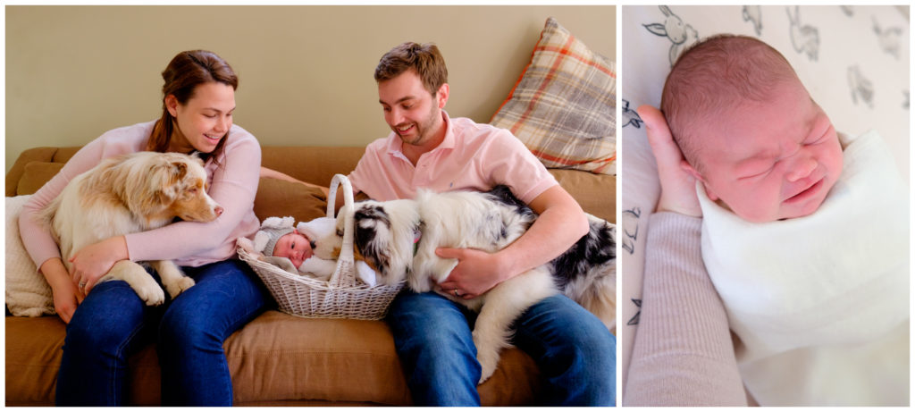 family portrait with a red faced newborn, her mom and dad, and two dogs, sitting on the sofa