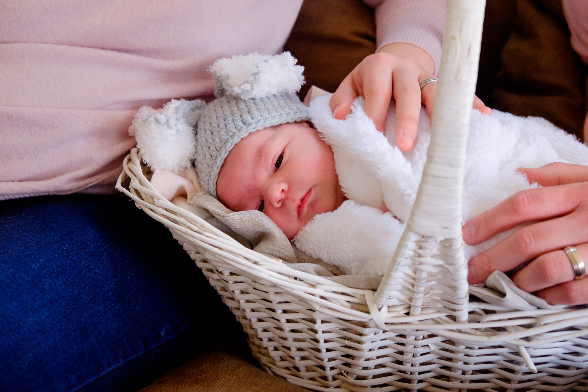 baby bunny in a basket with mom