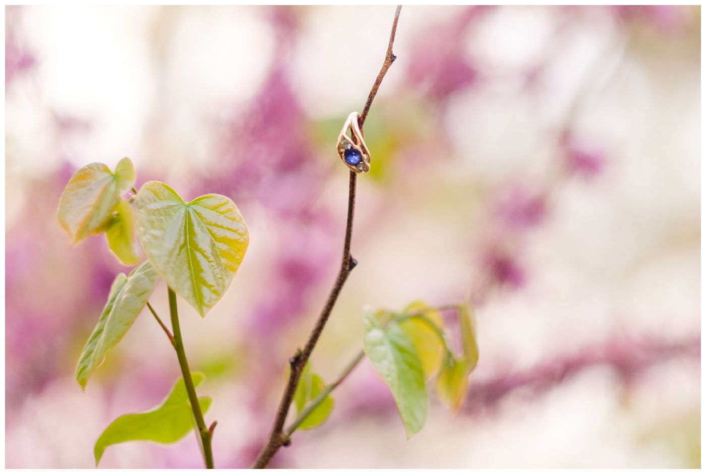 arnold arboretum,couple,engagement,flowers,green,lilacs,nature,park,portraits,purple,romantic,silly,spring,tiffany & rob,