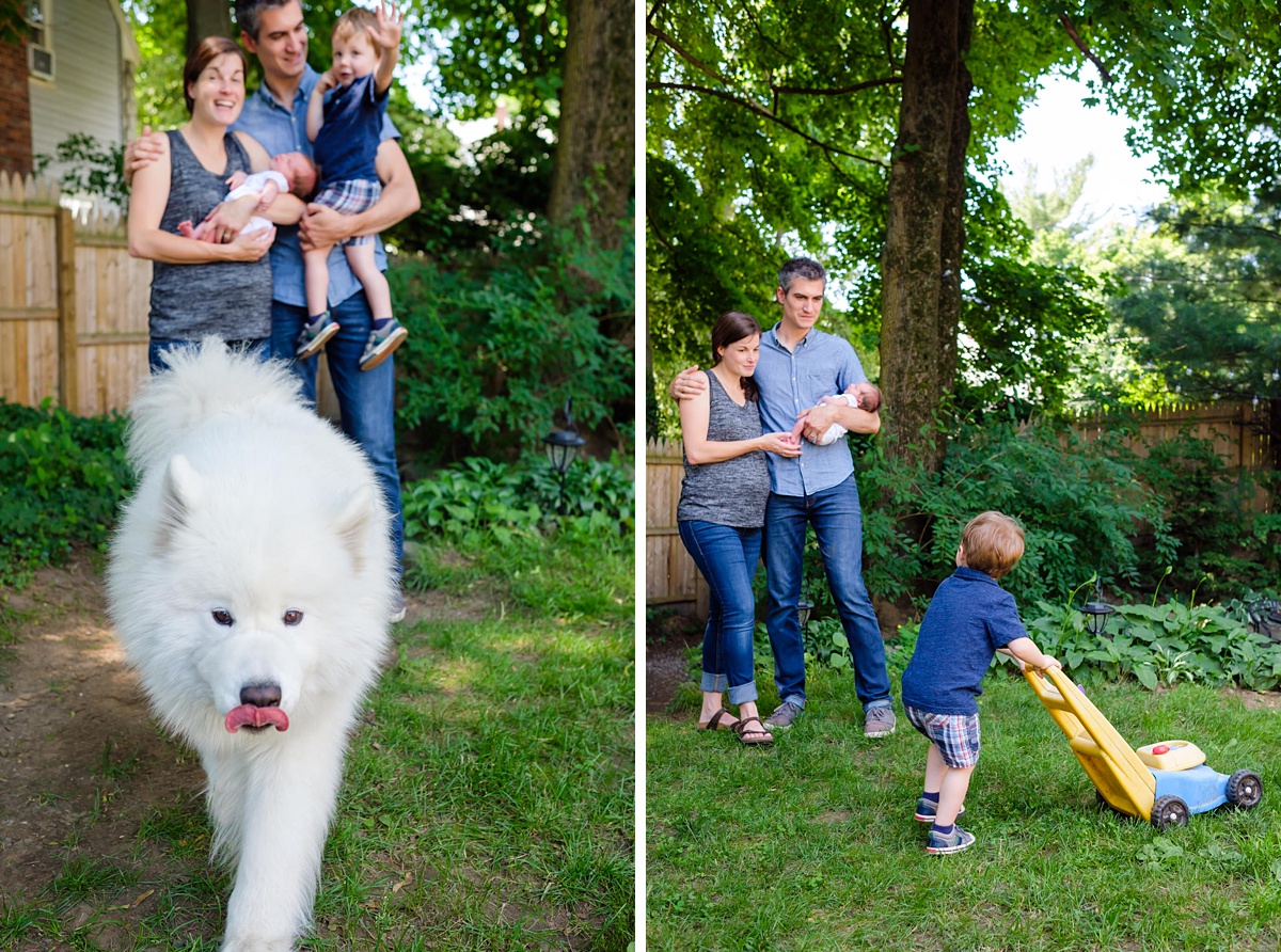 Outtakes from family newborn photo shoot with big white dog