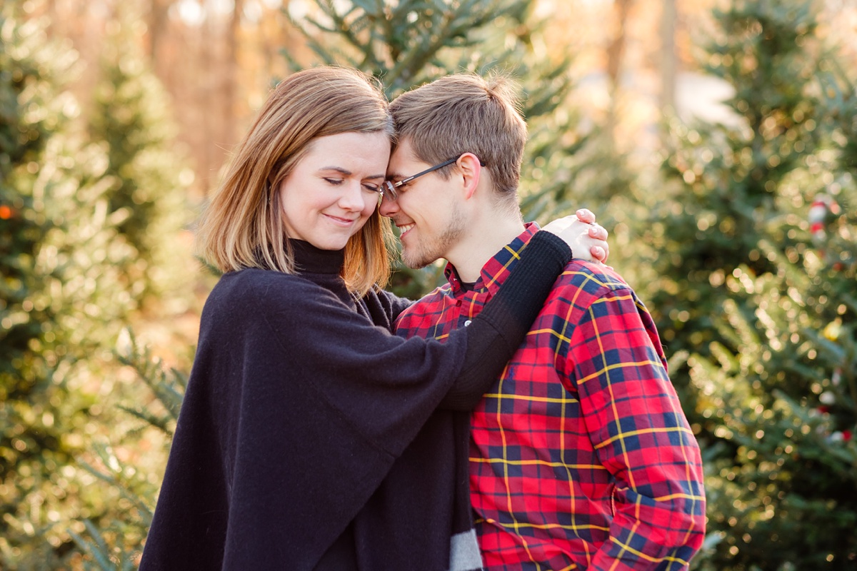 Topsfield Christmas Tree Farm Engagement Session