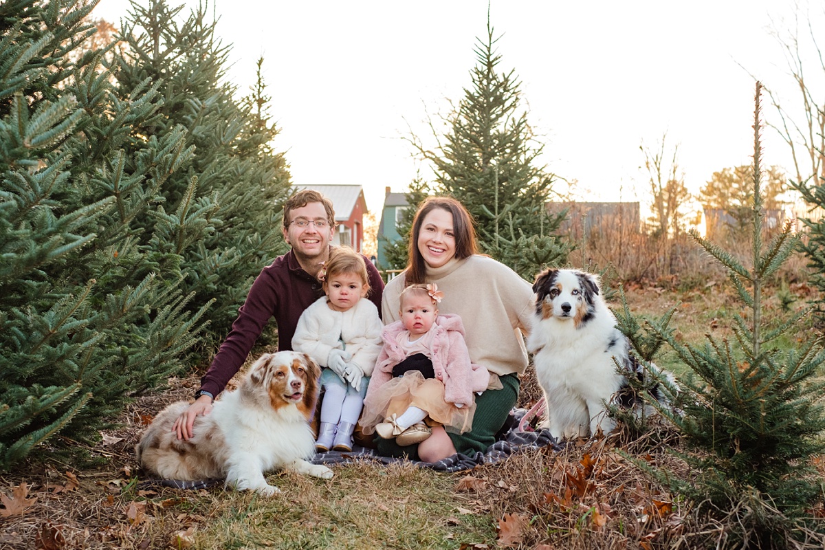 Boston Christmas tree farm photo of family with two daughters and two dogs