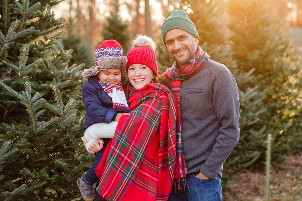 North Shore Christmas tree farm family photo shoot